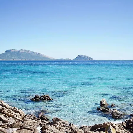 Apartamento Sunflower / Pool / 300m From La Caletta